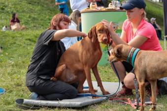 VIII Jastrzębski DogTrekking "TropDOGrzybka" - fotorelacja autorstwa A. Liszaj | A. Liszaj i M. Gebauer
