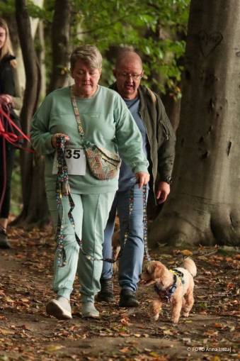 VIII Jastrzębski DogTrekking "TropDOGrzybka" - fotorelacja autorstwa M. Gebauer | A. Liszaj i M. Gebauer
