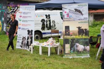 VIII Jastrzębski DogTrekking "TropDOGrzybka" - fotorelacja autorstwa M. Gebauer | A. Liszaj i M. Gebauer