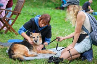 VIII Jastrzębski DogTrekking "TropDOGrzybka" - fotorelacja autorstwa M. Gebauer | A. Liszaj i M. Gebauer