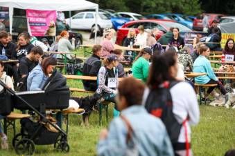 VIII Jastrzębski DogTrekking "TropDOGrzybka" - fotorelacja autorstwa M. Gebauer | A. Liszaj i M. Gebauer