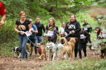 VIII Jastrzębski DogTrekking "TropDOGrzybka" - fotorelacja autorstwa M. Gebauer | A. Liszaj i M. Gebauer