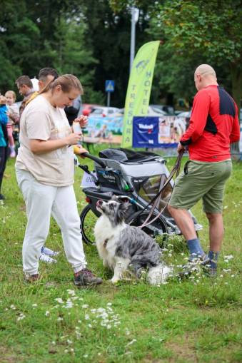 VIII Jastrzębski DogTrekking "TropDOGrzybka" - fotorelacja autorstwa M. Gebauer | A. Liszaj i M. Gebauer
