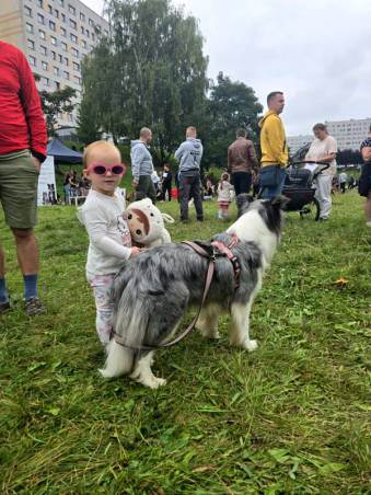 VIII Jastrzębski DogTrekking "TropDOGrzybka" - fotorelacja autorstwa M. Gebauer | A. Liszaj i M. Gebauer