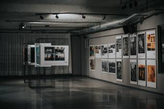 Fot. Maciej Kanik | Stowarzyszenie Jastrzębski Klub Fotograficzny Niezależni