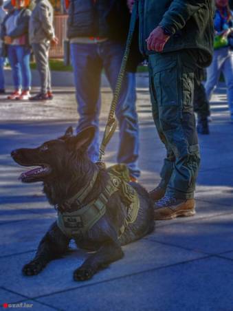 Przysięga zołnierzy WOT w Jastrzębiu-Zdroju | 