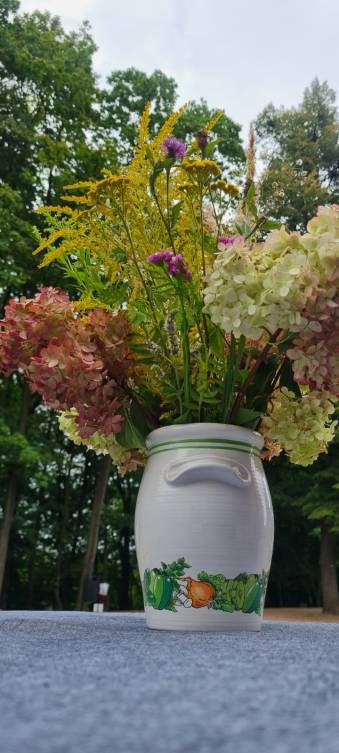 Fot. Uzdrowisko Jastrzębie | Uzdrowisko Jastrzębie