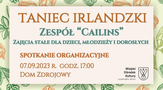 Spotkanie organizacyjne "Zespołu Cailins"