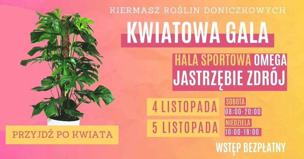 Kwiatowa Gala w Jastrzębiu Zdroju - kiermasz roślin doniczkowych