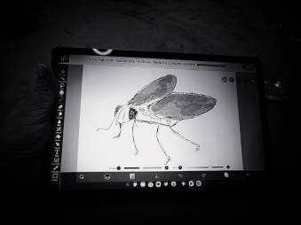 "Transformacja, edukacja, sztuka" - fotorelacja z poranków ze sztuką, fot. Fundacja Harmonicznego Chaosu | Fundacja Harmonicznego Chaosu