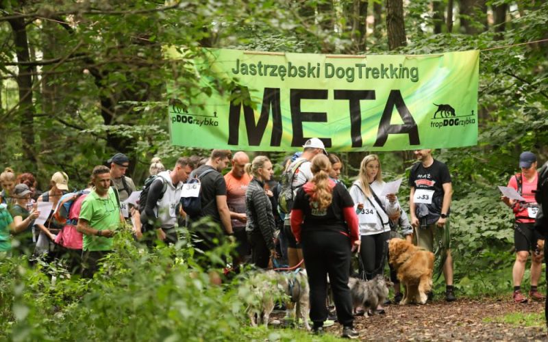 6 września w lesie Kyndra odbędzie się IX Jastrzębski Dogtrekking „TropDoGrzybka”