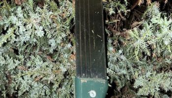 Groza wśród nastolatków. Napaść z maczetą i poniżanie rówieśników