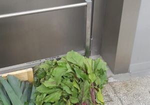 Dźwigi, które zwiększają bezpieczeństwo, fot. WSS nr 2