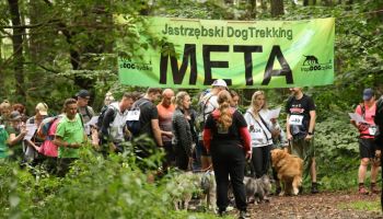Cudowne czworonogi, leśne ścieżki i wielkie serca. Wraca Jastrzębski Dogtrekking