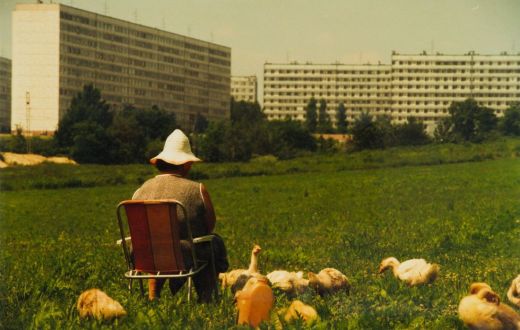 Miasto z wielkiej płyty w obiektywie Józefa Żaka Miasto z wielkiej płyty w obiektywie Józefa Żaka