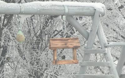 Ptaki dostały karmę, środowisko – mniej odpadów. Akcja GPZON i miasta zakończona sukcesem