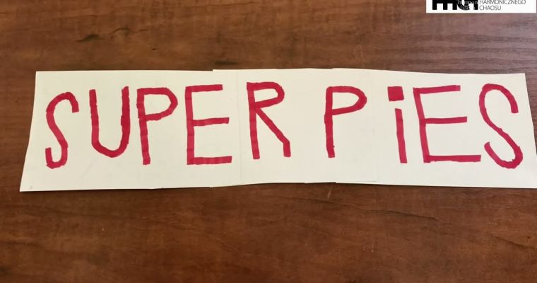 SUPER PIES - film animowany zrealizowany przez uczestników warsztatów Poranki ze sztuką - Transformacja, edukacja, sztuka.