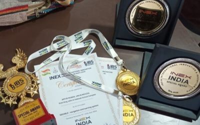 Złoto dla Jastrzębia w Indiach. Projekty Seeable i Evacuar nagrodzone