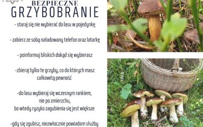 Podczas grzybobrania nie zapominajmy o bezpieczeństwie