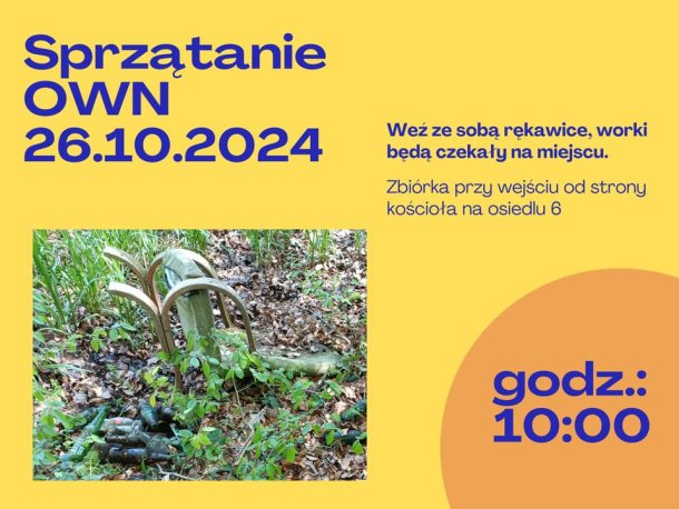 Akcja sprzątania OWN