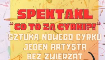 "Co to za cyrki?!" na deptaku w Zdroju